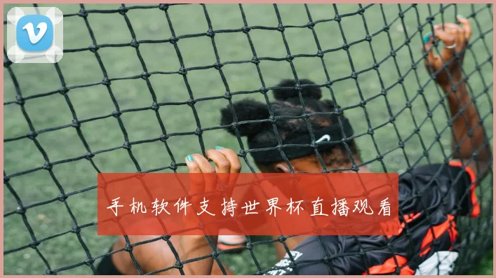 手机软件支持世界杯直播观看