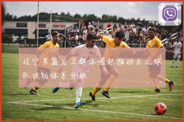 辽宁男篮后卫群体崛起推动东北球队攻防体系升级