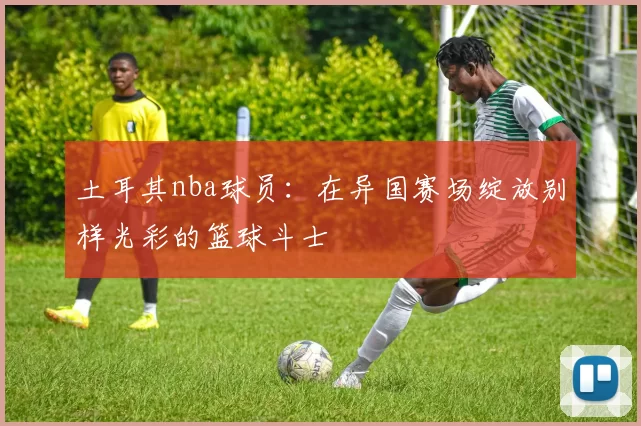 土耳其nba球员：在异国赛场绽放别样光彩的篮球斗士