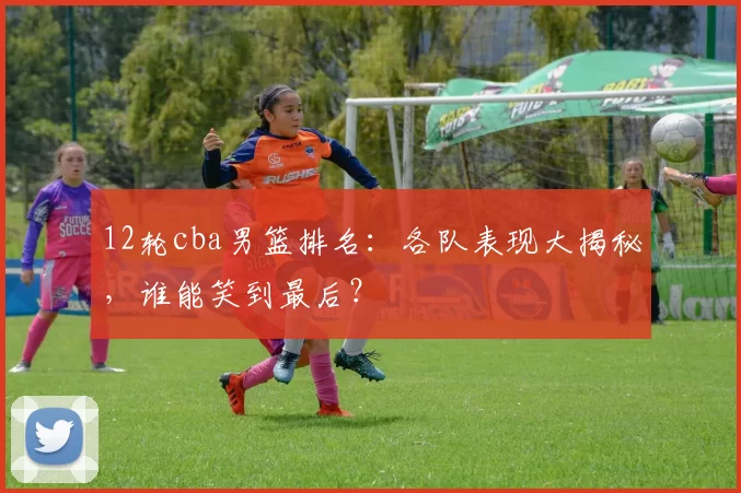 12轮cba男篮排名：各队表现大揭秘，谁能笑到最后？