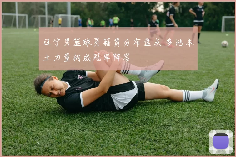 辽宁男篮球员籍贯分布盘点 多地本土力量构成冠军阵容